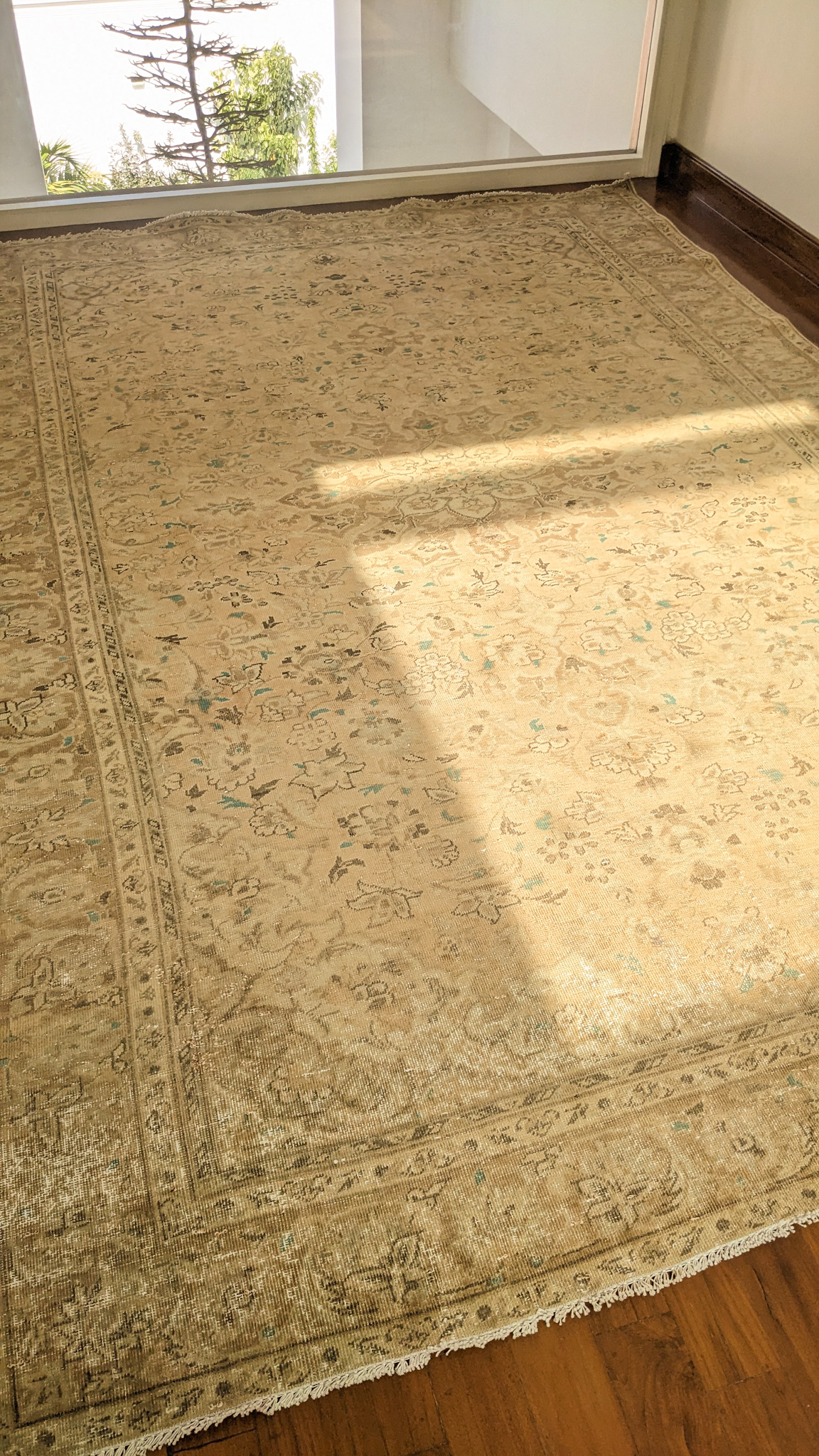 A large, overdyed Persian rug with a highly distressed, vintage look, in a light, golden-beige tone, placed on a dark hardwood floor. A bright shaft of sunlight crosses the rug.