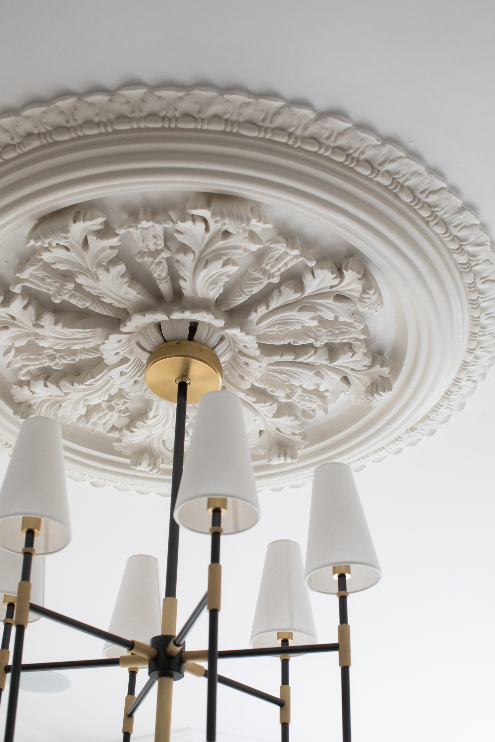 Restored Victorian ceiling rose paired with contemporary lighting, reflecting a sensitive interior architecture approach to period townhouse refurbishment.