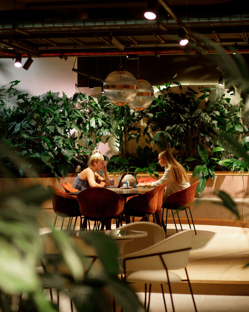 table surrounded by greenery