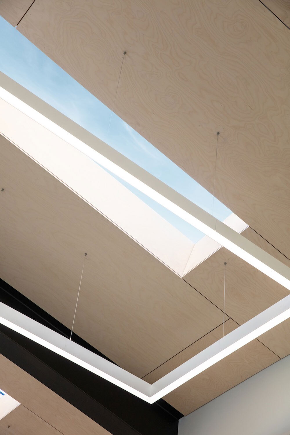 Ceiling with sky light